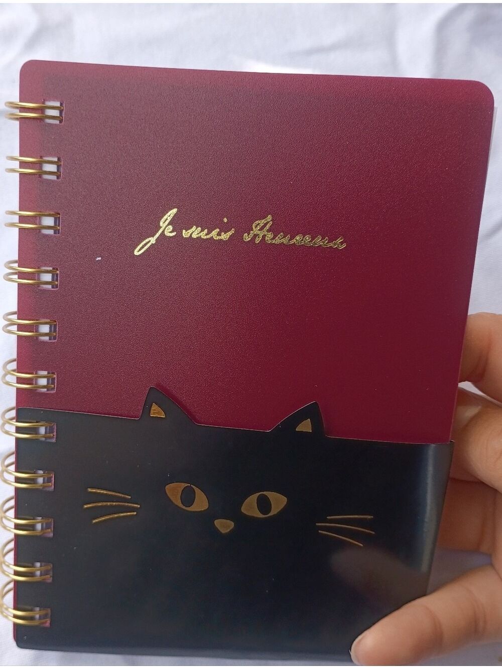 Cute Kawaii Cat Notebook - Red and Black Spiral Journal